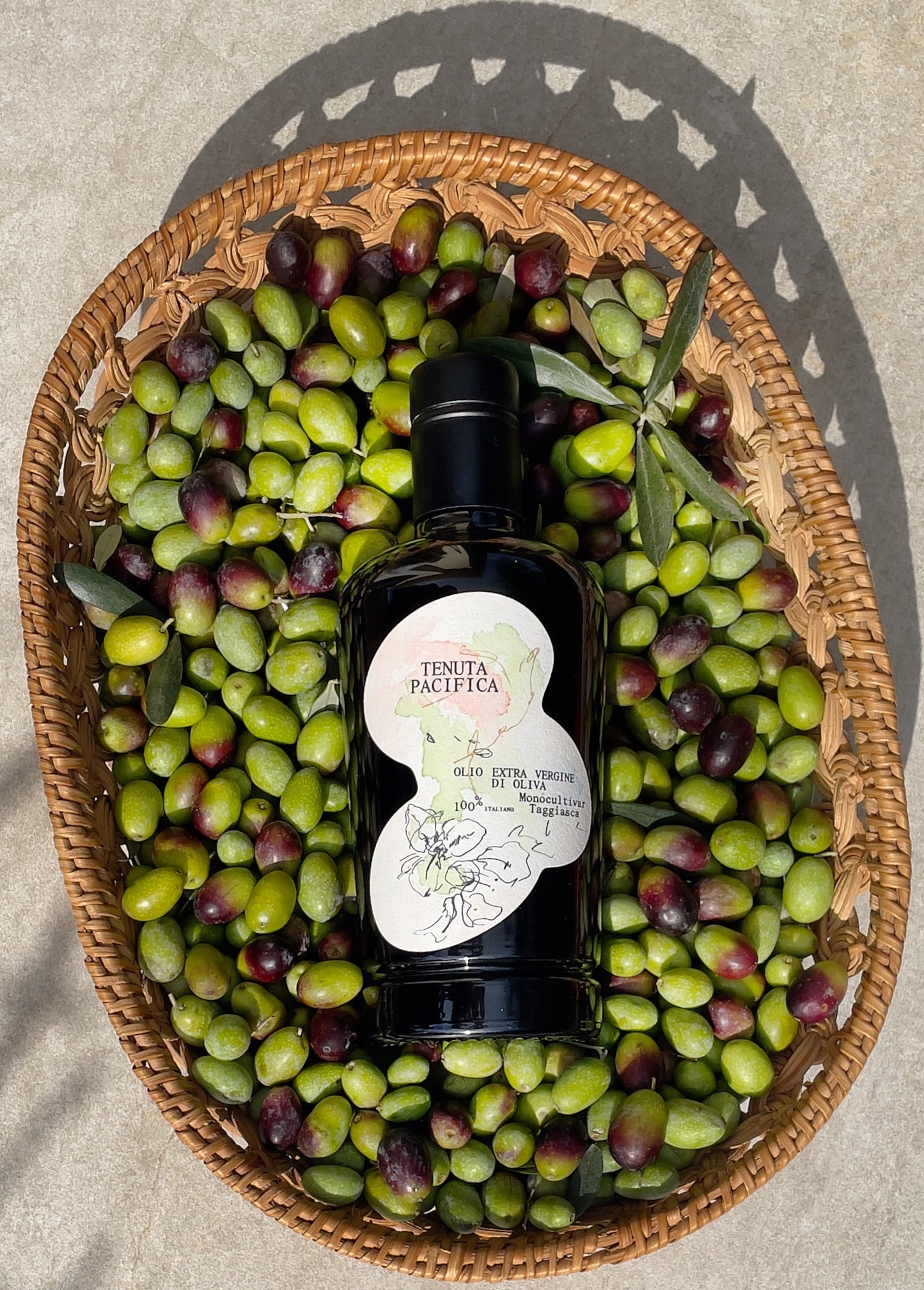 Olio EVO Monocultivar Taggiasca 2024/2025 di Tenuta Pacifica - Bottiglia da 500 ml
